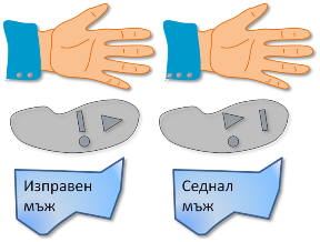 properties